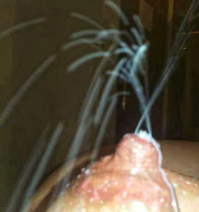 Volcano explosion posted by Ok_Wrongdoer_1741