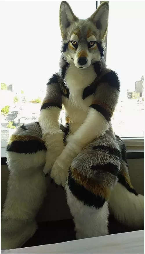 Who is this? posted by LibertyPackandStack