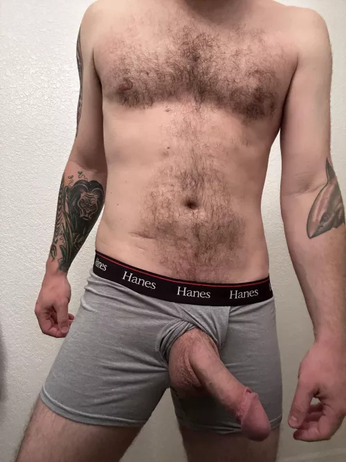 [34] want to touch it? by Cockandcolour