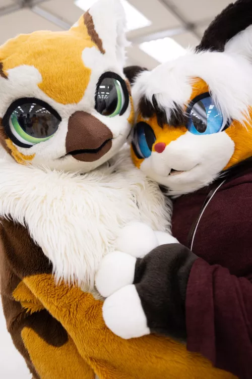 @MayT0602 & @neige_kotora on Twitter by Dragoniel