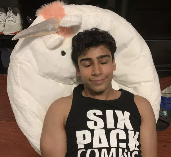 My sister gifted me this bean bag since she ruined my last gaming chair. Should I be offended lol? by Athesbee