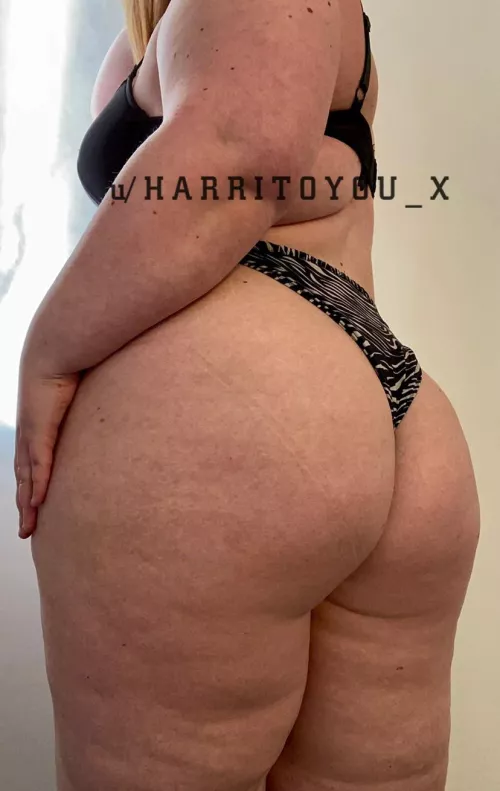 Plus size ass always tastes better by harritoyou_x