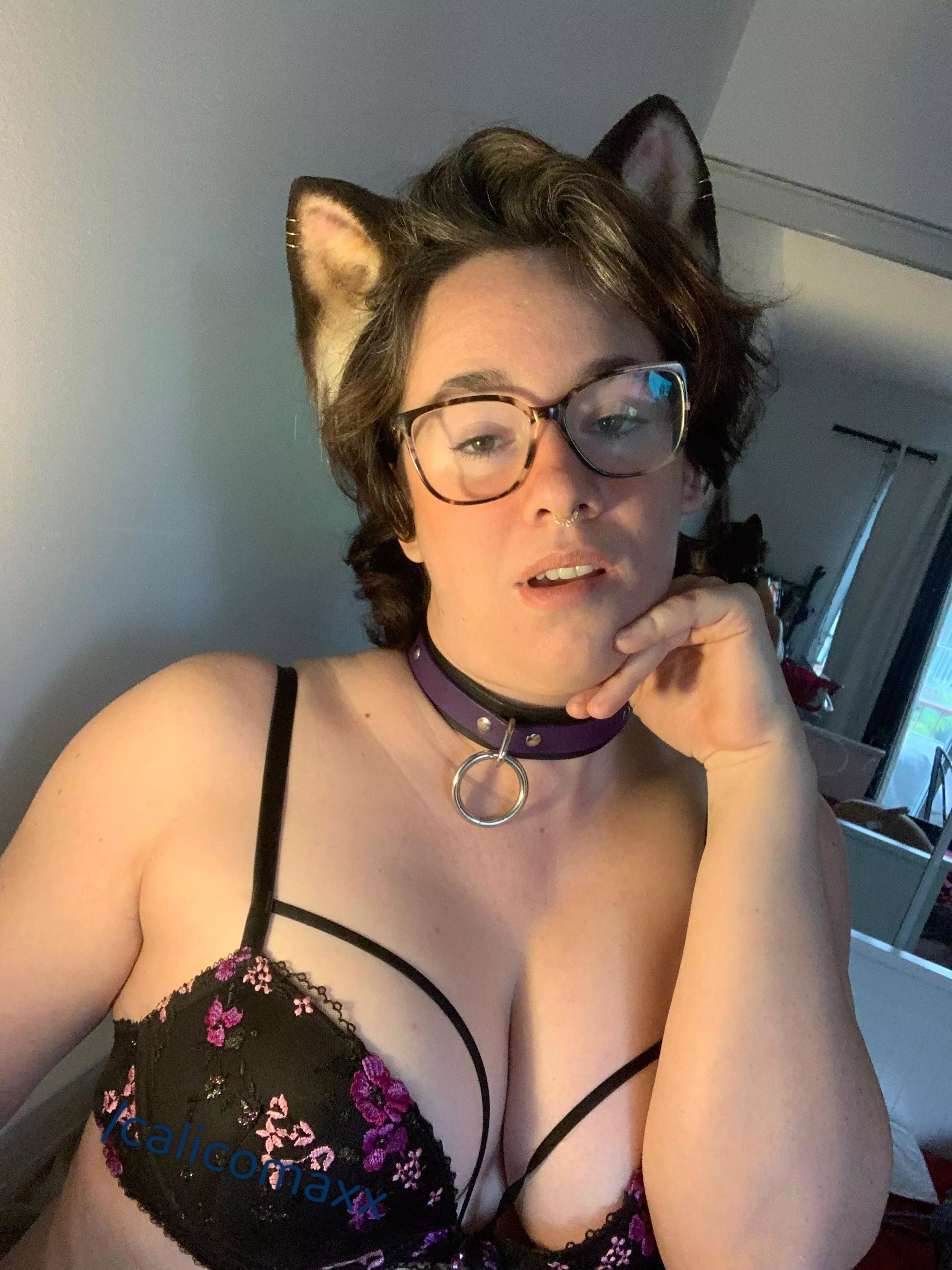 What’s your favourite kind of kitty? [OC] posted by CalicoMaxx