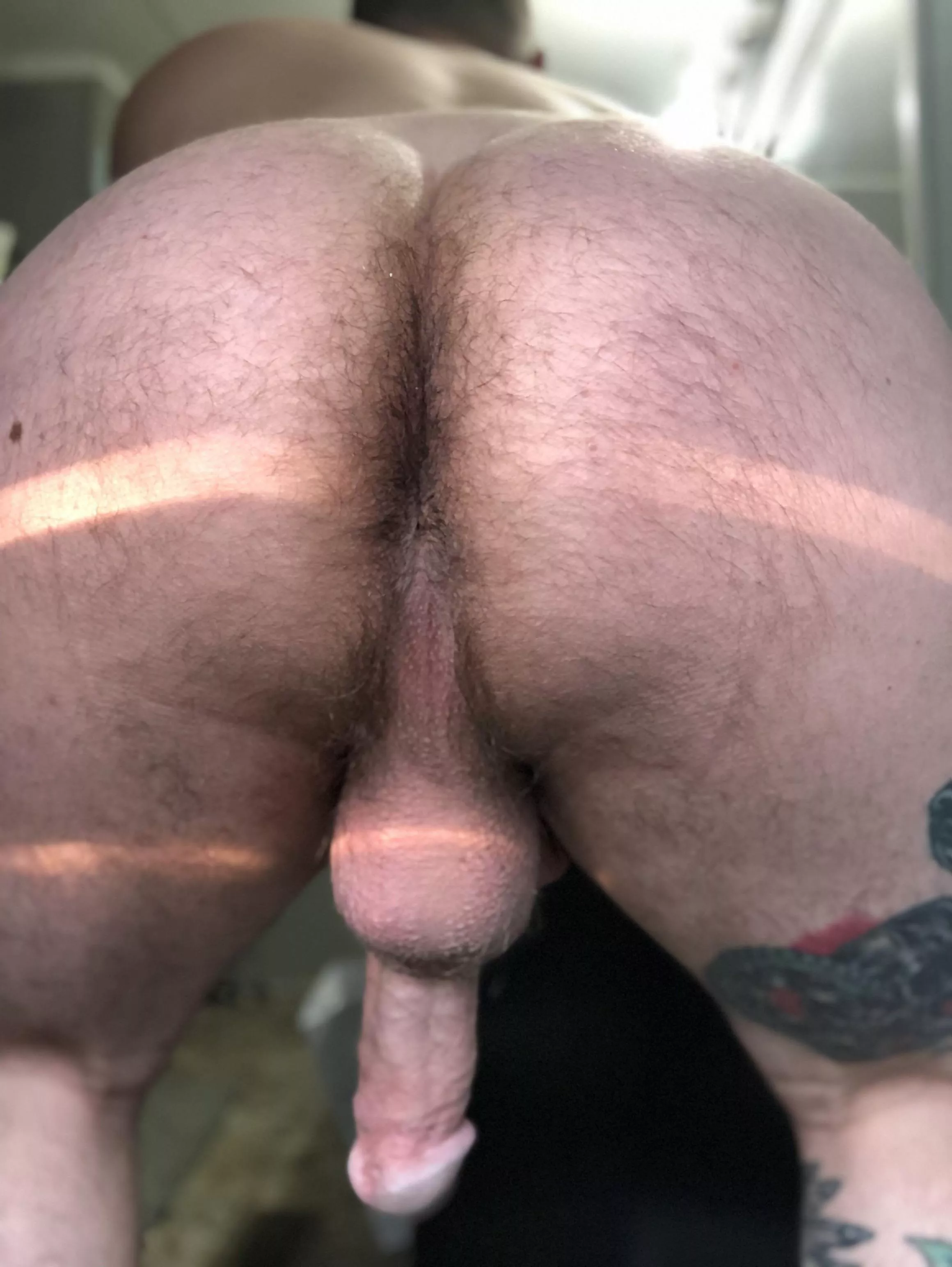 Who likes a big dick bottom? posted by tat2d00d