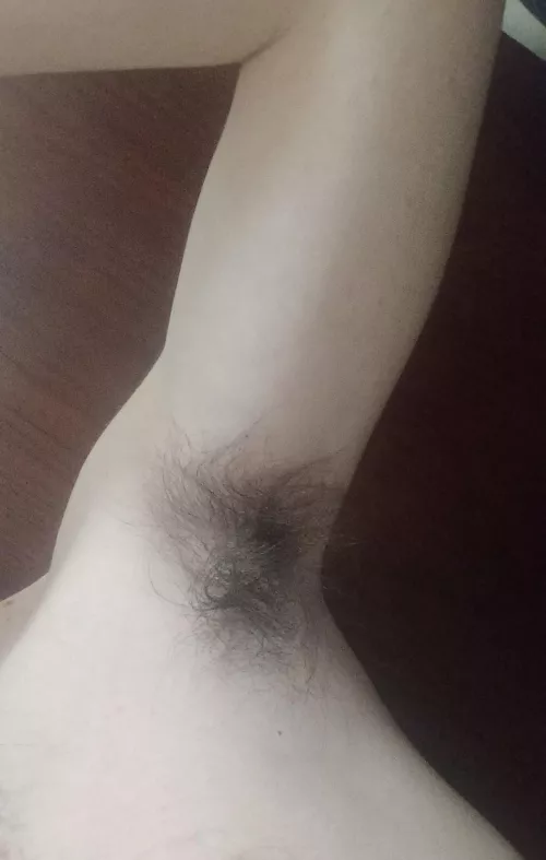Would you be interested in exploring my smelly [h] hairy body? (F22) by significantamount1