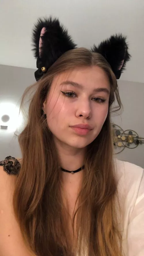 you should touch this cute cat's ears, shouldn't you by WantonlyEmbroil