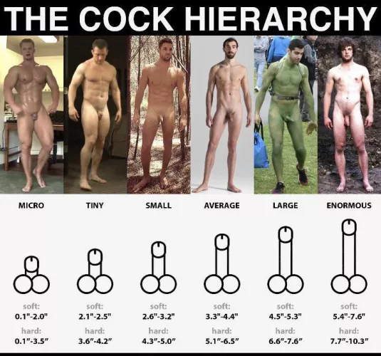 28 m show me where you are on the hierarchy and I’ll show you where I am by ezmode8967