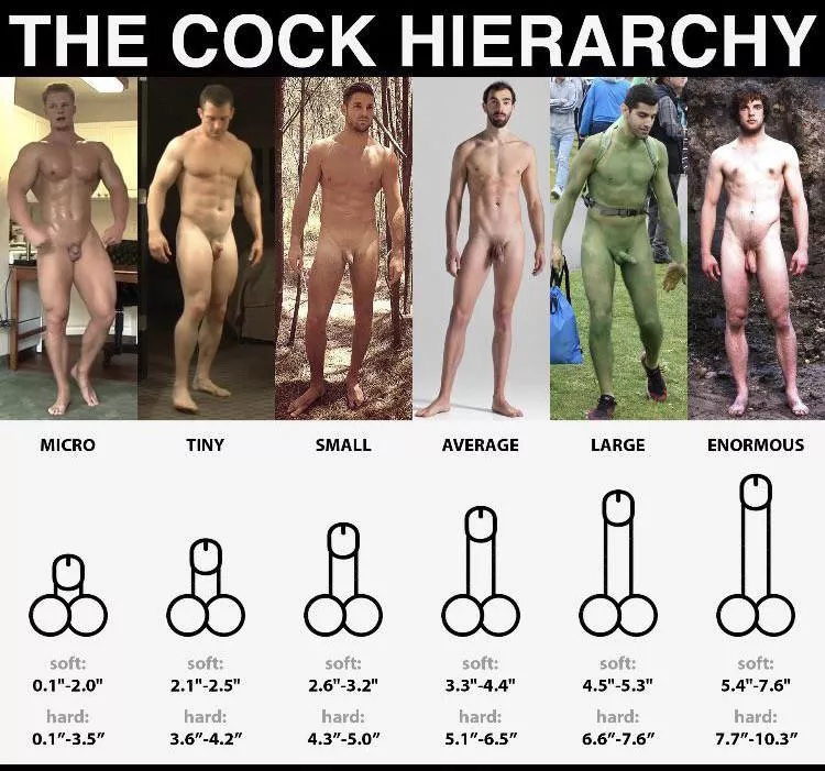 28 m show me where you are on the hierarchy and I’ll show you where I am posted by ezmode8967