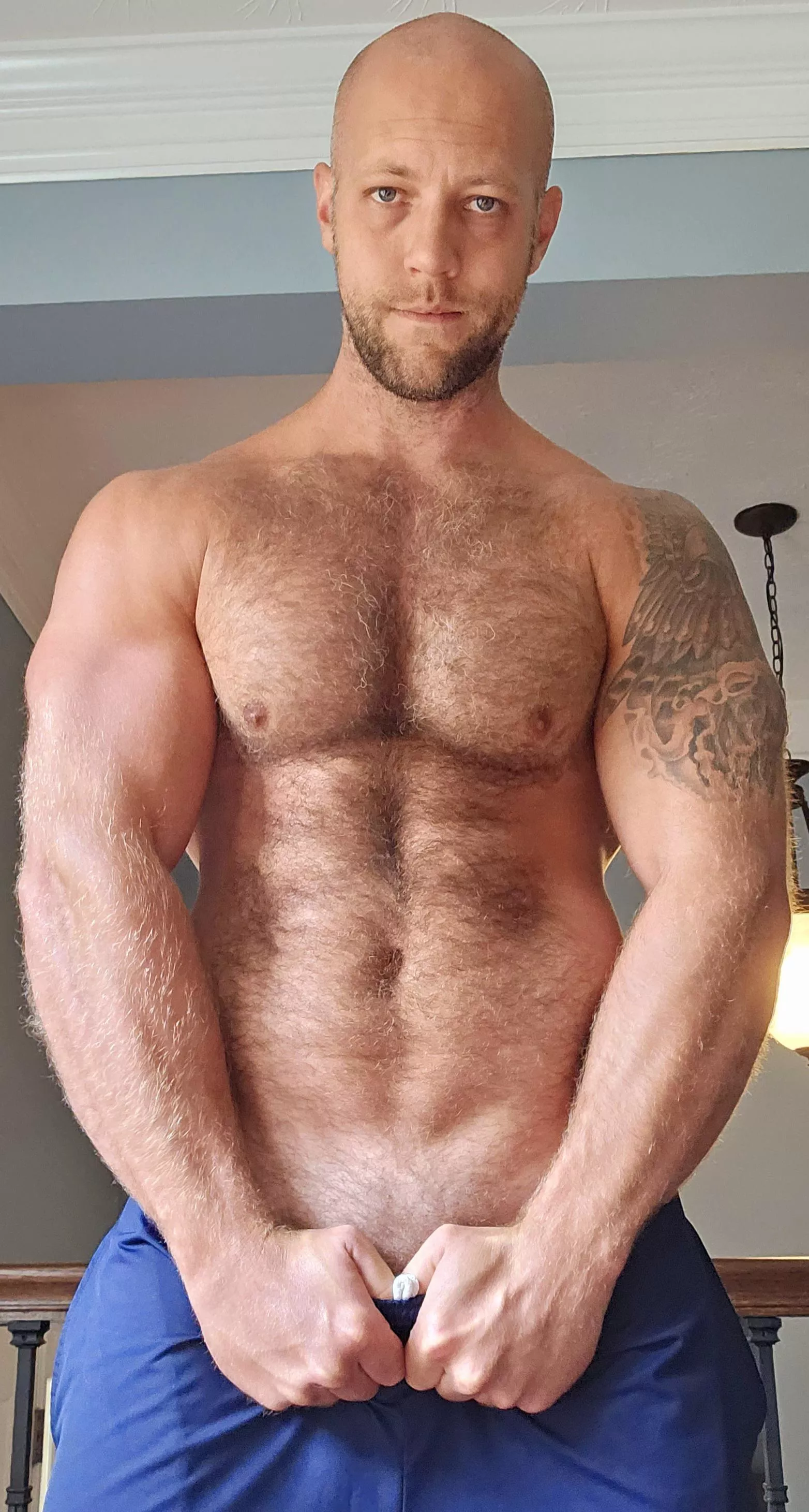 Anyone want to run their fingers through my fur? posted by eaglewatcher88