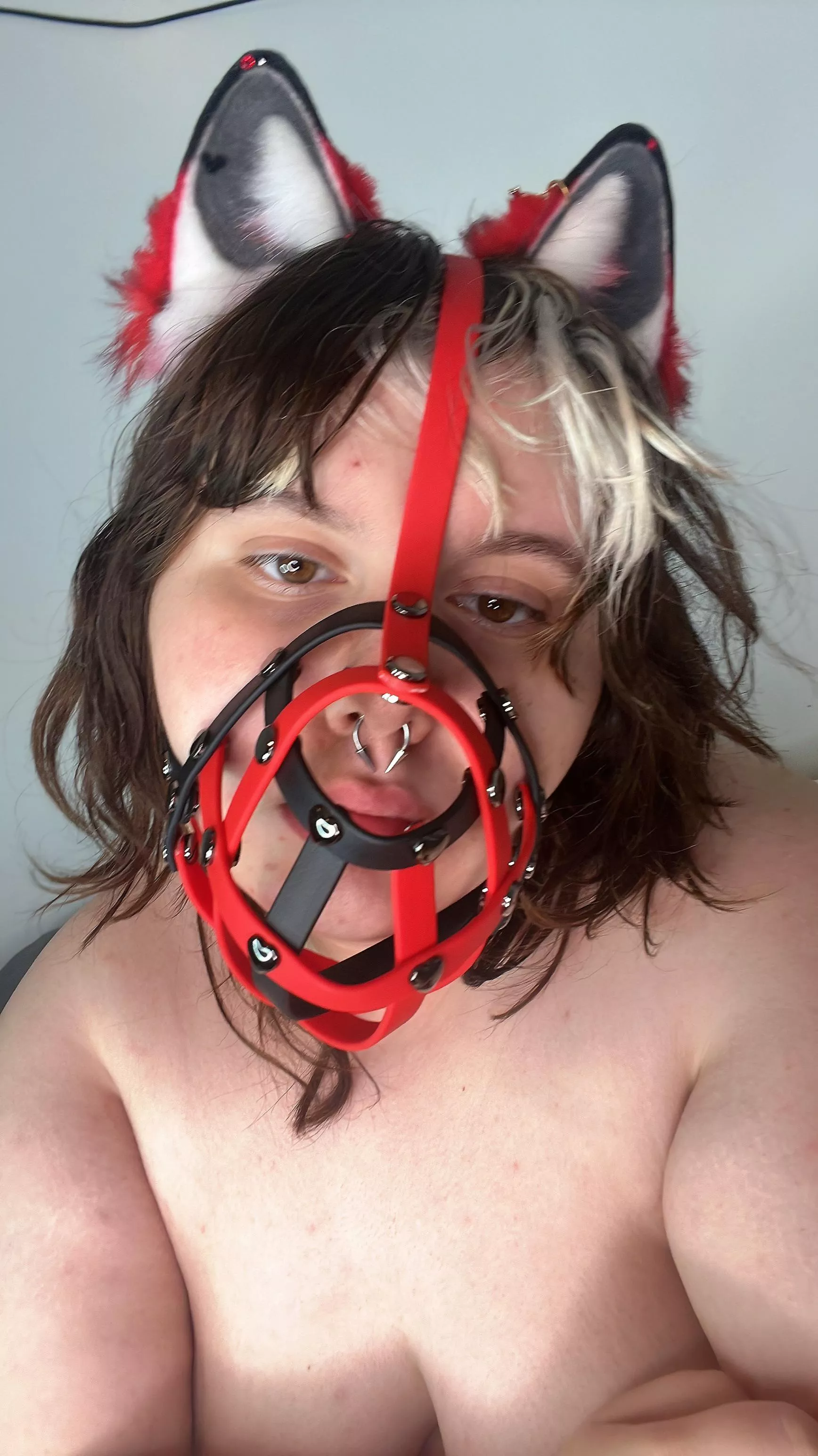 Arf~ posted by dreadfulpuppy