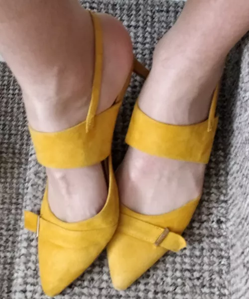 Beautiful yellow kitten heels 😺 by Rude_Cranberry6473