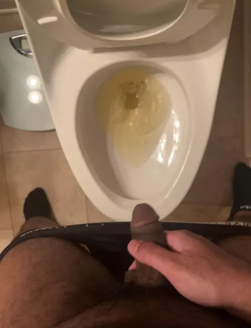 Brown dick with some yellow piss by MurkyAlgae5295