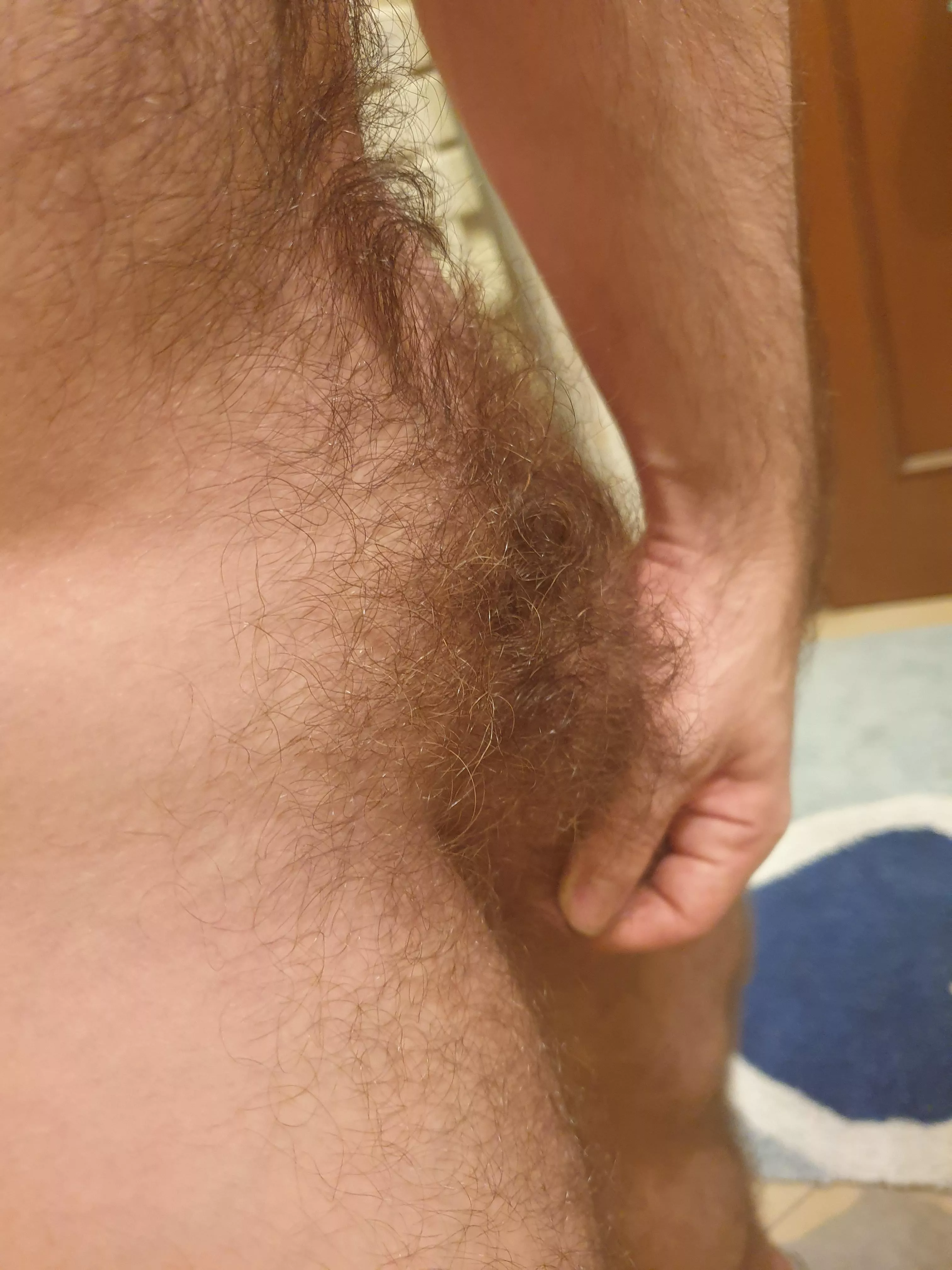 Do you think i need to brush it? Another view posted by Naughty_Alex1