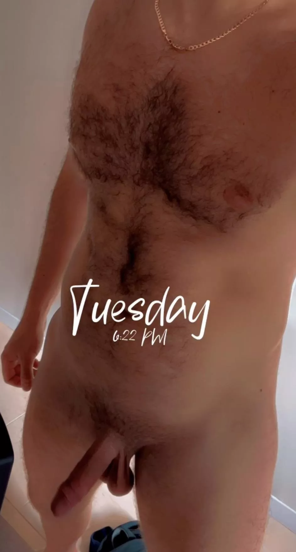 Just let me put the tip in posted by northernjock