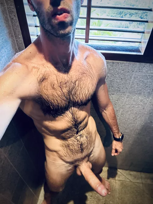 Like my rainforest? 🦍 by Andolini_XXL