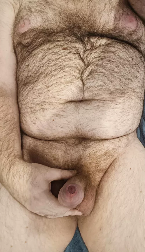 Need an assistant for those WFH days [38] by Melbourne_uncut