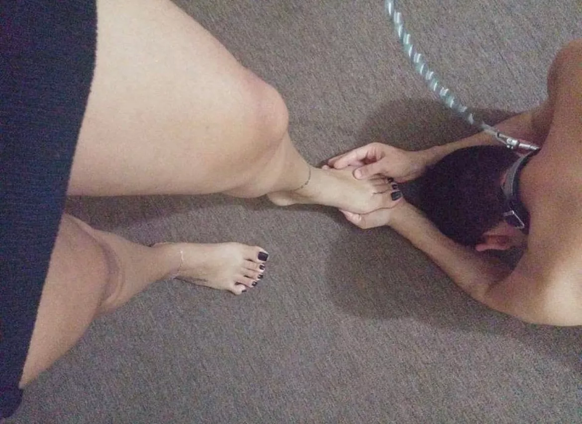 The pig revolt must be atoned! posted by WickedWick1