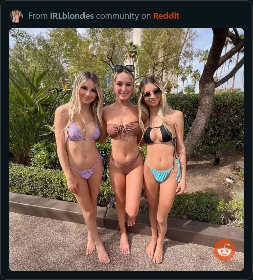 What say you? by Ok-Jackfruit-9059