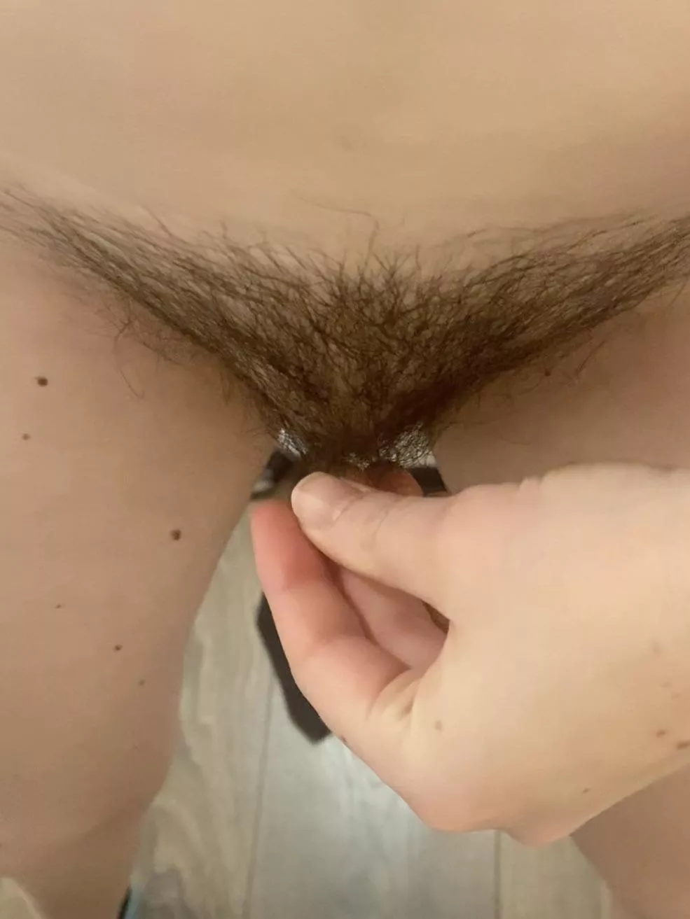 Where are my bush lovers? posted by FreyaMoon_