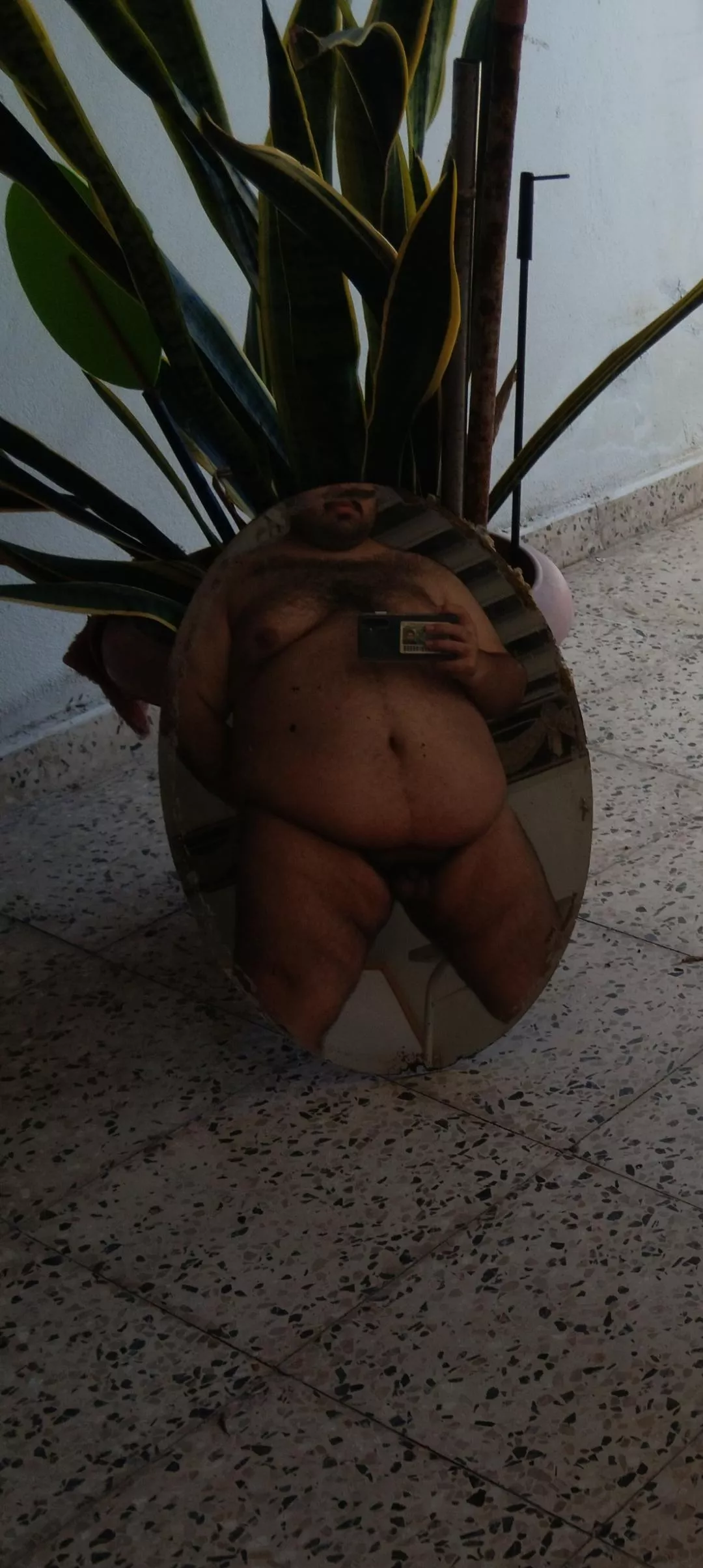 Who wants to join? posted by riceconbeans