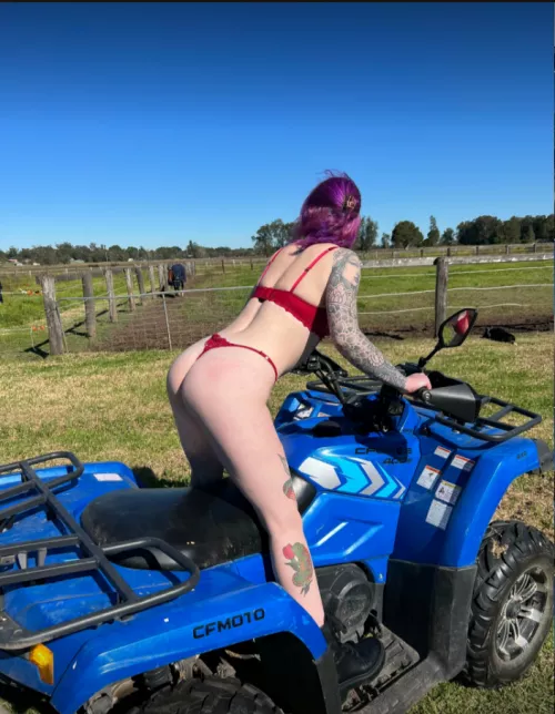 who wants to ride on the back by naturebubblebath