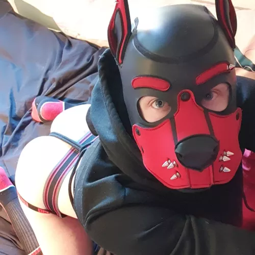 Your average good boy by femboy-pup