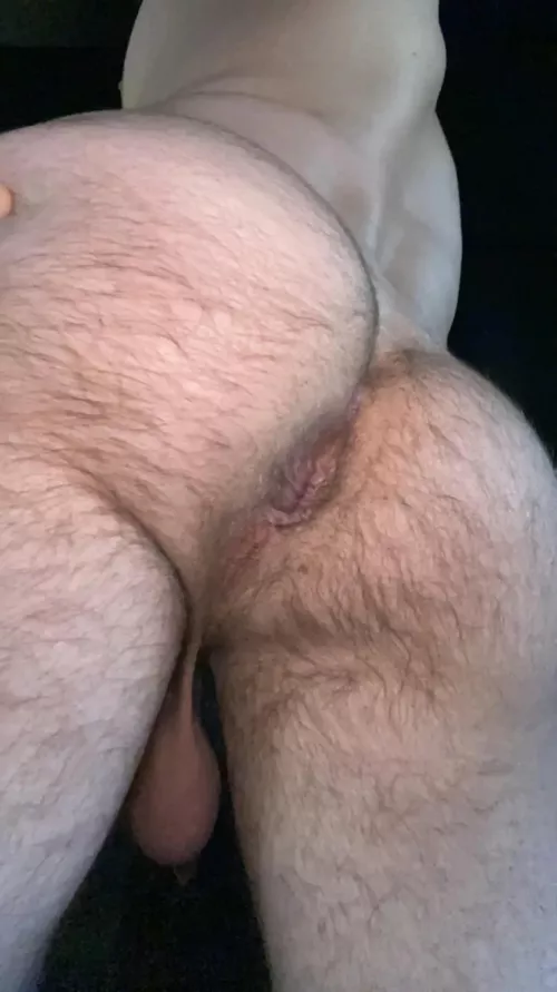 28. Furry fit and hungry for a breeding. DM for snap by Verspol