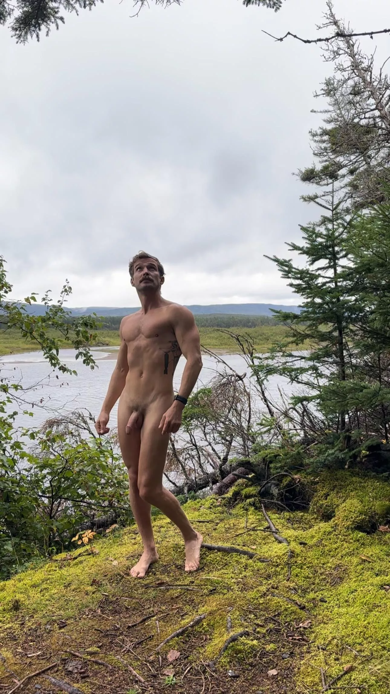 Coy in Codroy posted by freeintheforest86