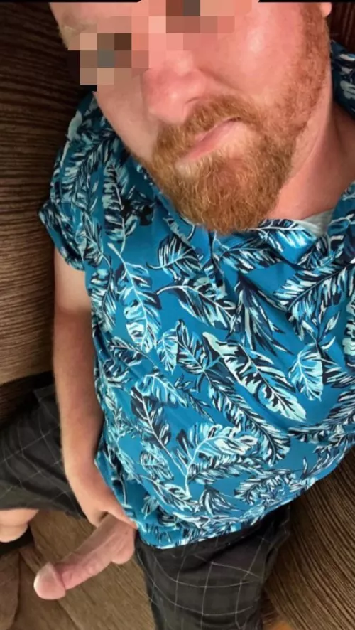 Do you want to touch my beard or something else by theworldhateshumans