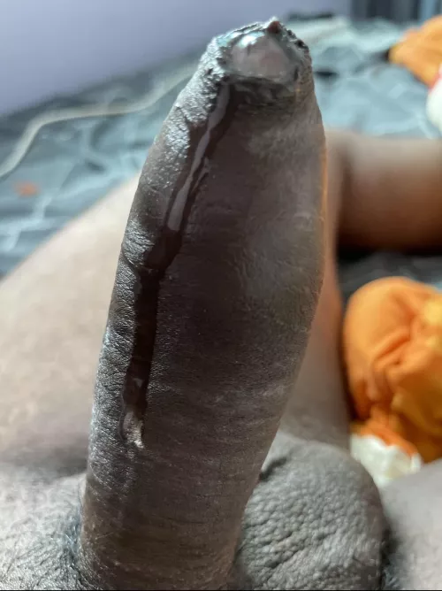 Everyone is welcomed by Stevedaft