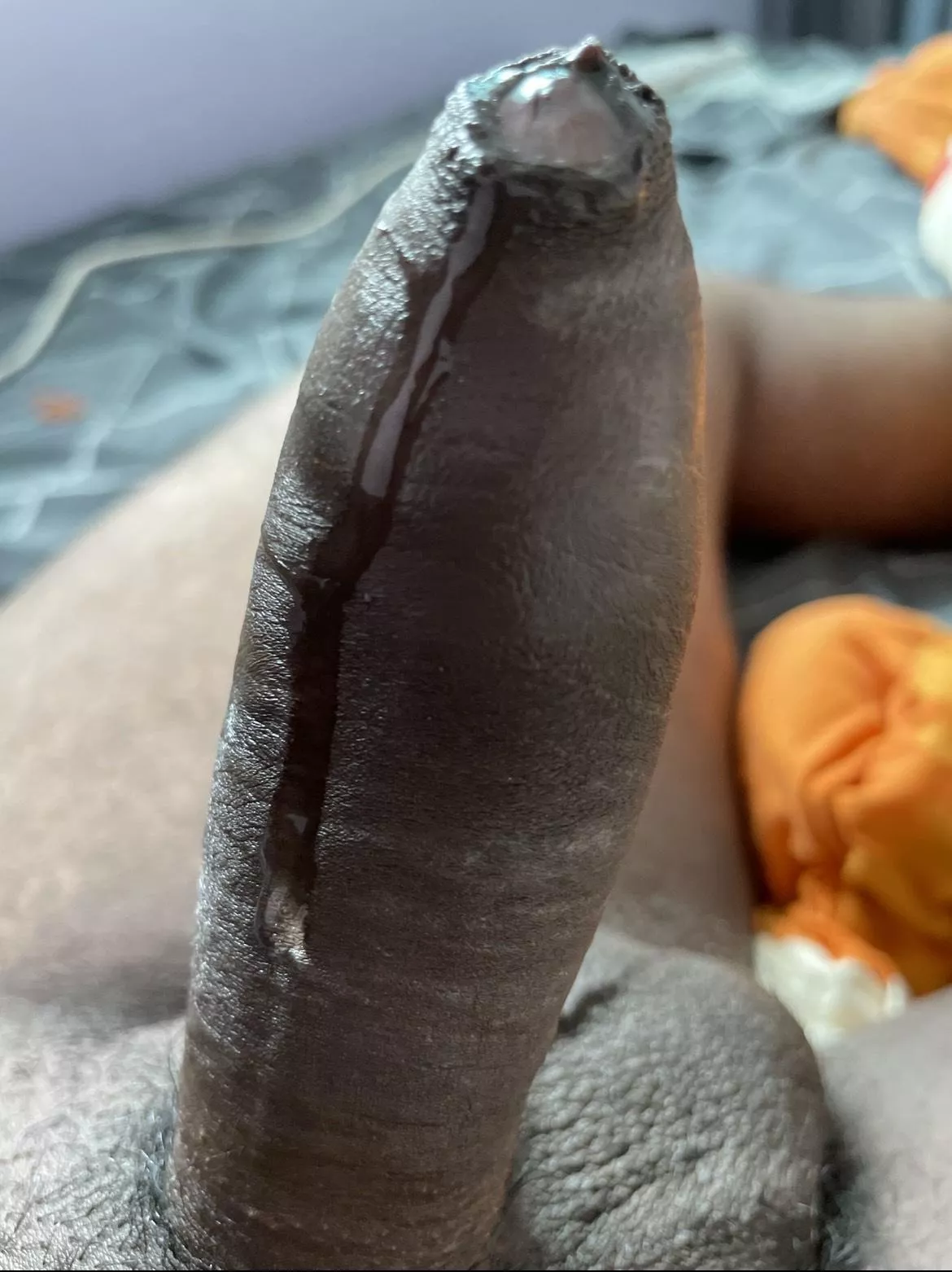 Everyone is welcomed posted by Stevedaft