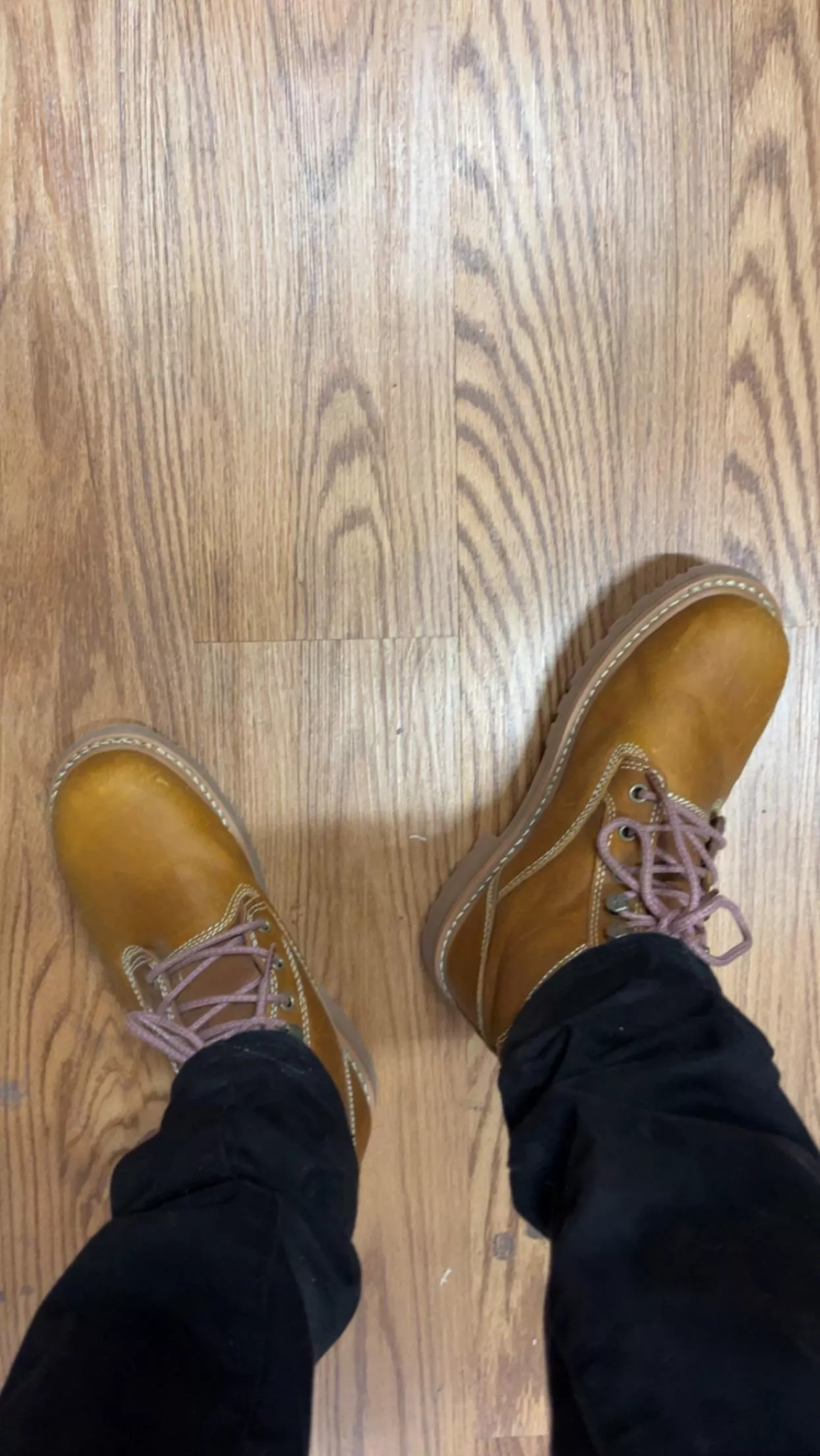 Got me some ranching boots! posted by KingNathus