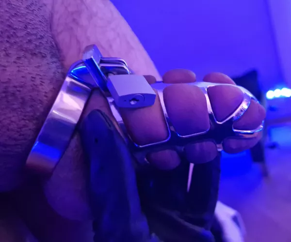 Had my cock beaten before being locked (barely fits) by Sea-Yogurtcloset-897