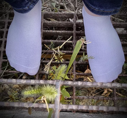 I took my shoes off on my hike because I just knew my socks would be appreciated~ by GoddessSable