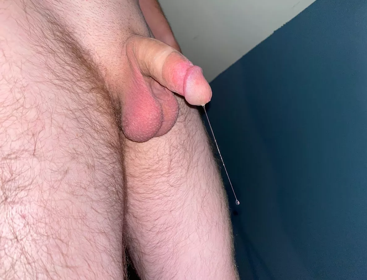 Long drop posted by Quick_Function82