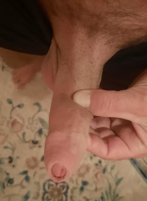 Morning Game by immernackt