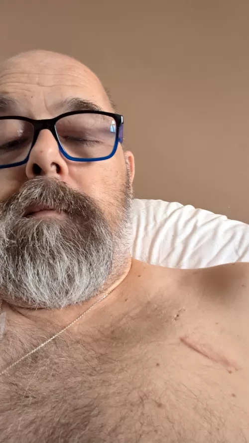 Seeking Yorkshire Top Bears by Initial-Storm-3860