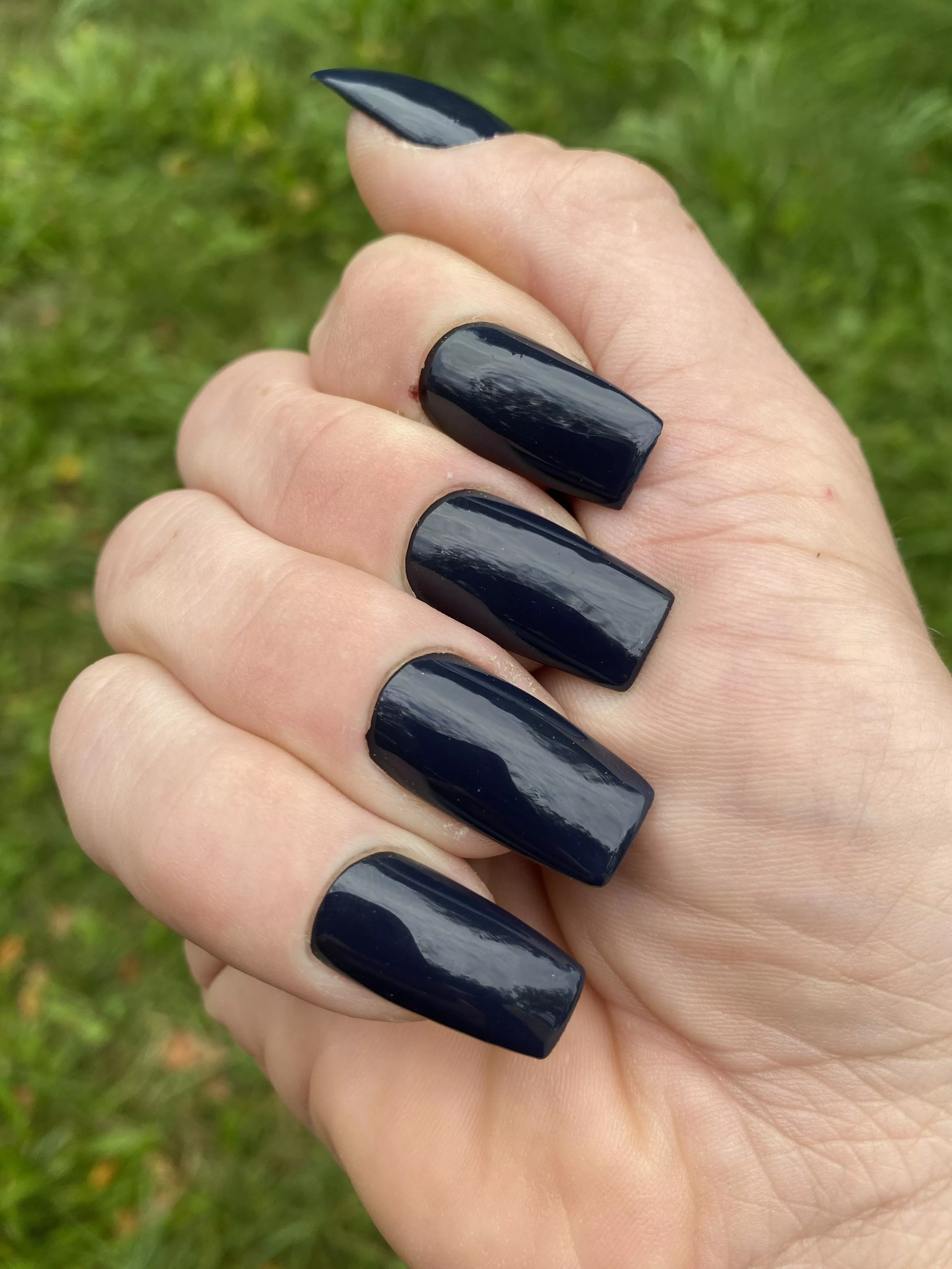 Very dark blue posted by Sefco1
