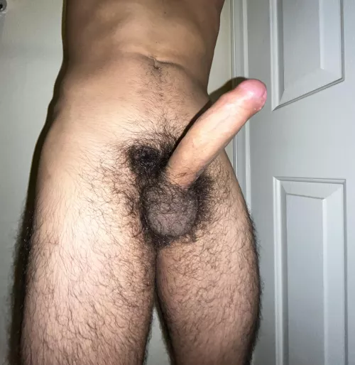 wanna suck my veiny cock? by 7in_hard