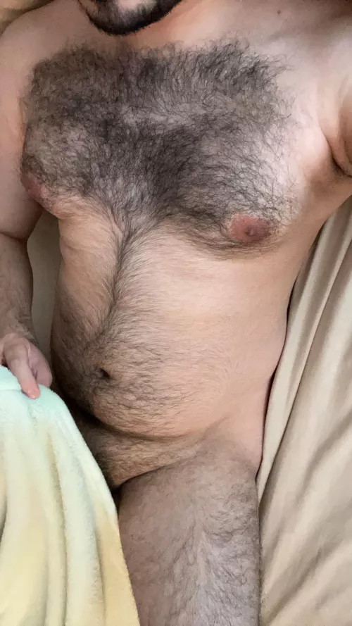 27 horny sc:gayhairyvers by tas106