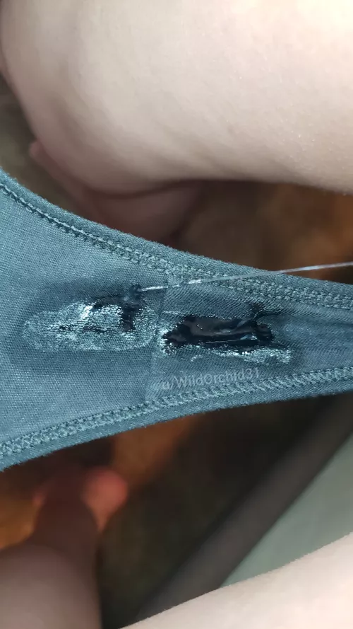 A wet weekend is in my forecast by WildOrchid31