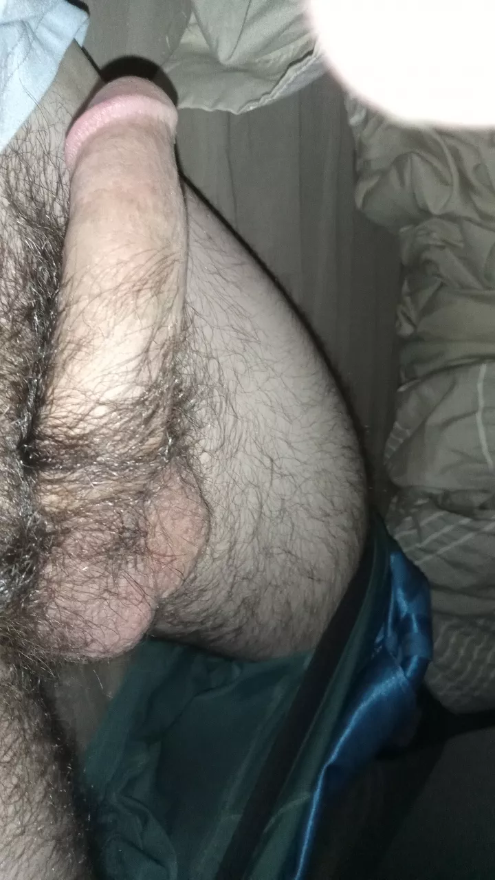 Anybody likey? posted by Dense_Mushroom_738