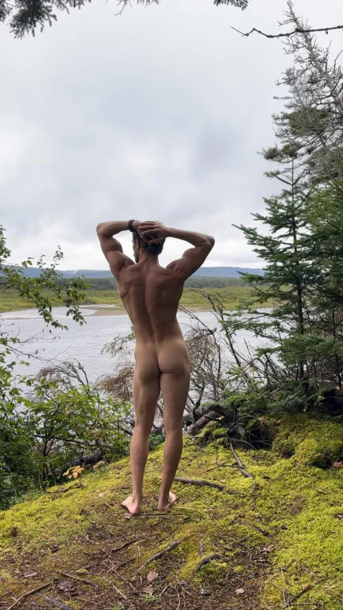 Coy in Codroy by freeintheforest86