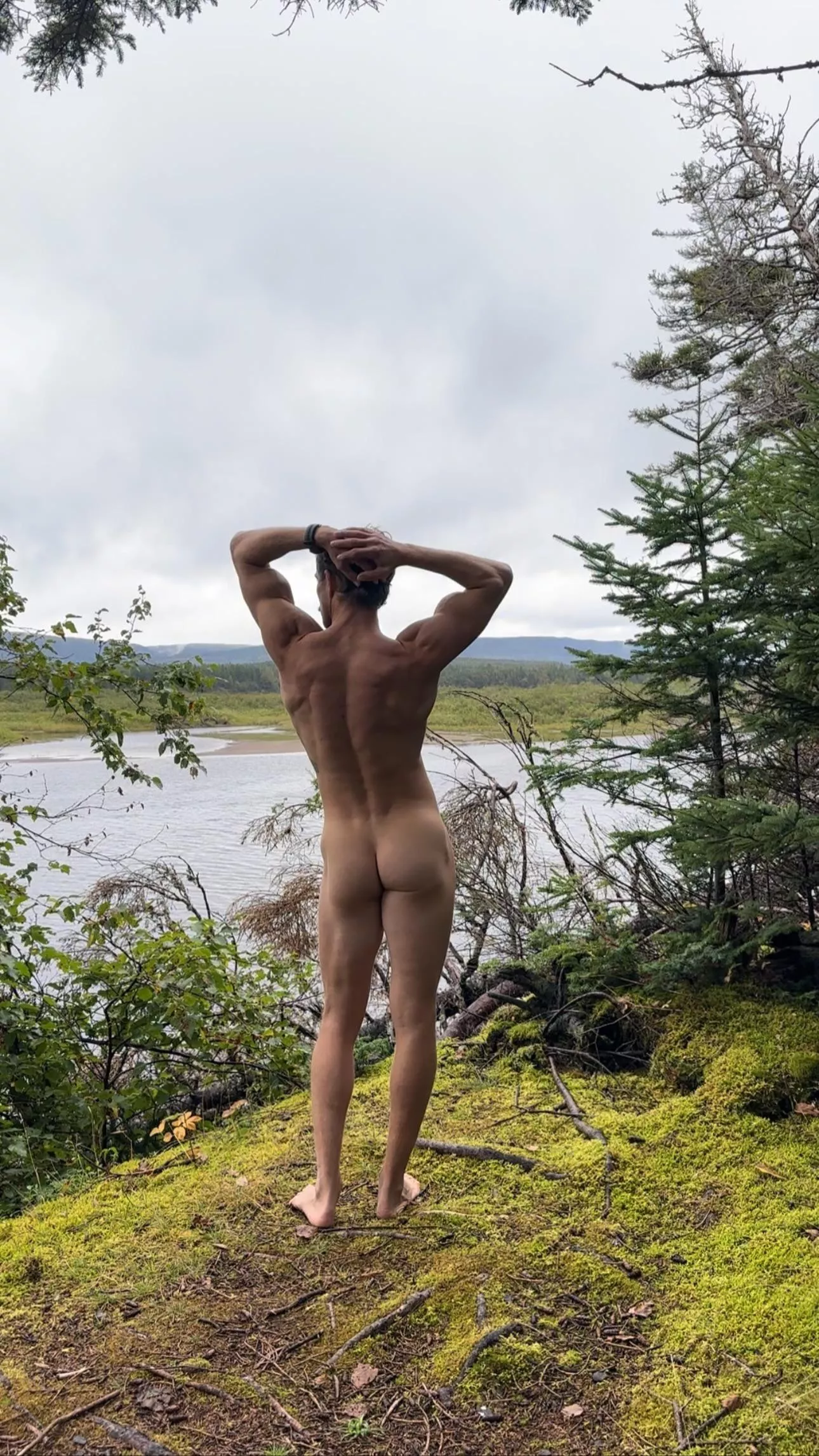 Coy in Codroy posted by freeintheforest86