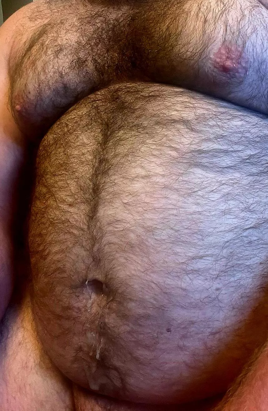 Full and Furry posted by acersacharrum97