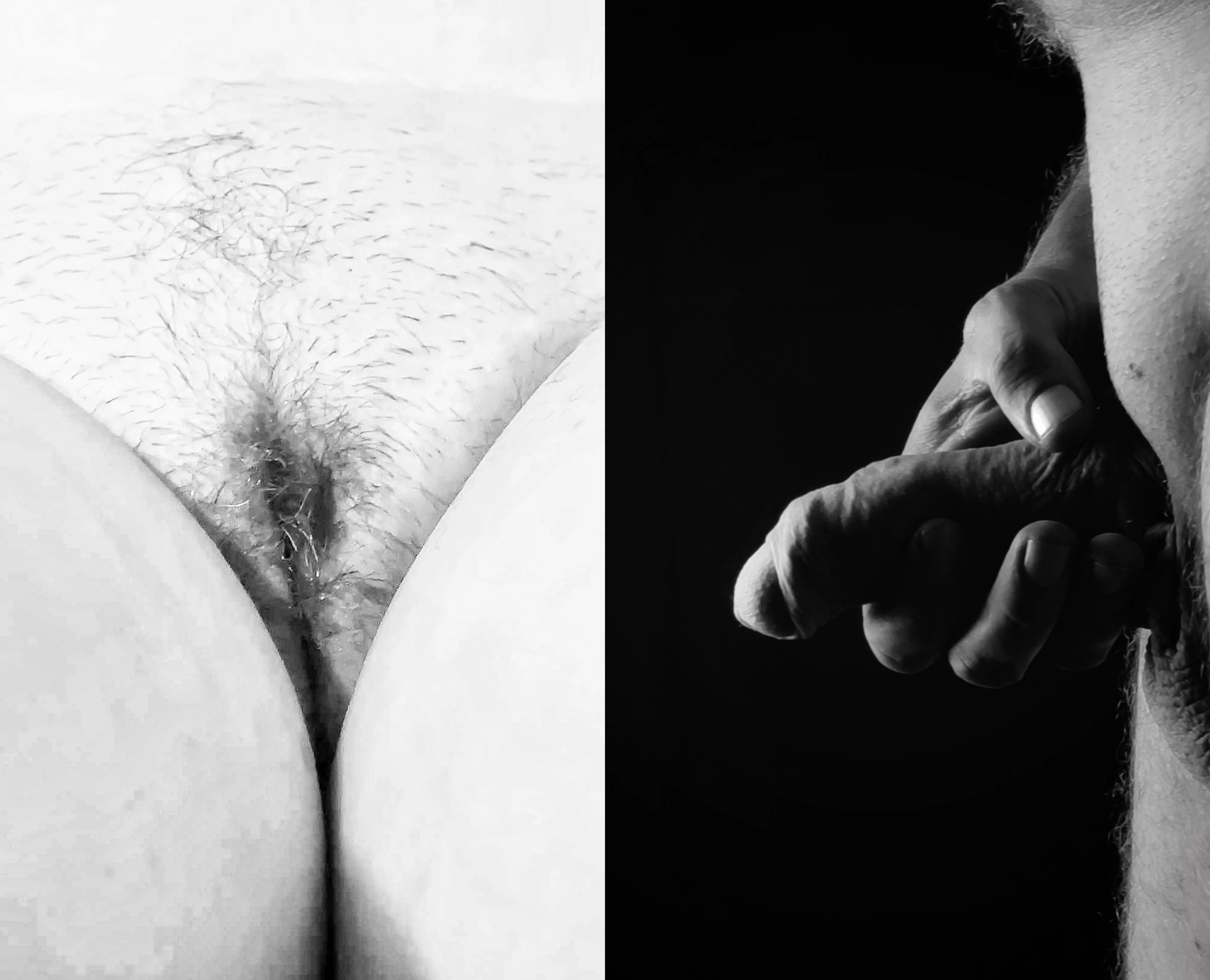 Here we both are. What do we look like to you? posted by Adventurous_Fig9762