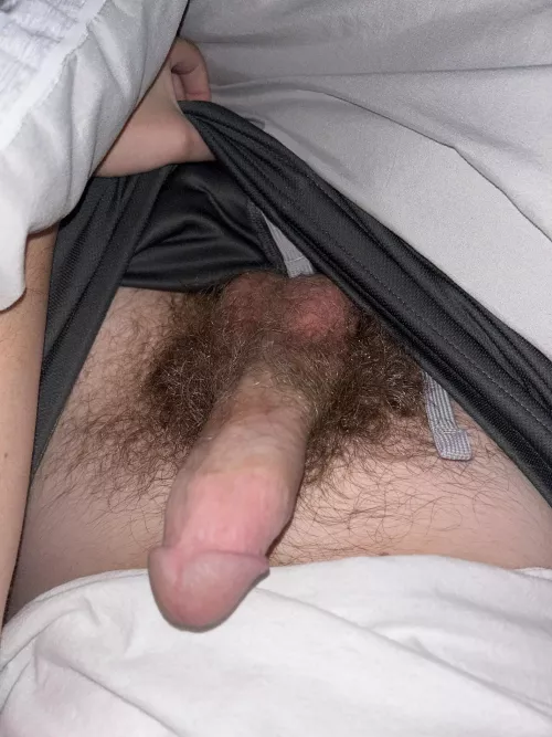 How’s my bush (DMs open) by badbrassbad