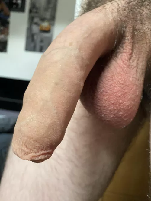 make hard pls by Alert_Two_9035