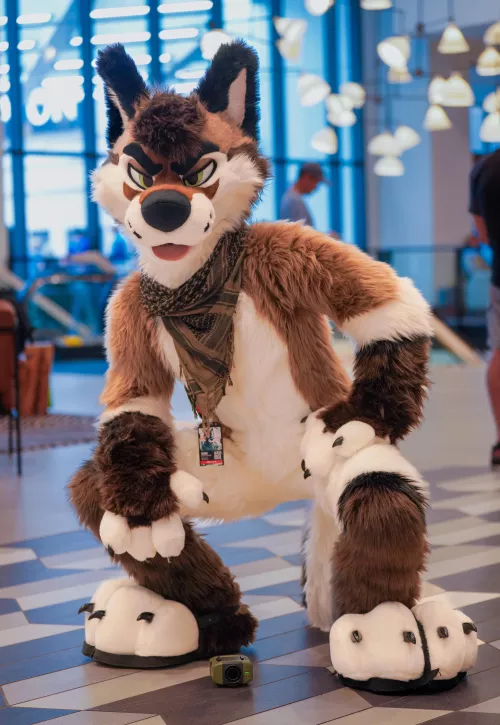 New boy is ready to give soft hugs & cuddles, you up for it? 😏 by PalaceWolf