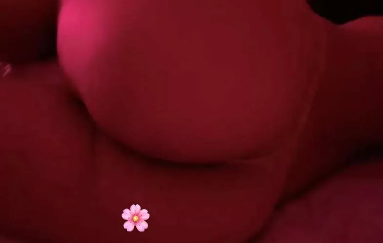 23 verbal asian femboy :)) lennyoswald2020 🌺 hmu with face and a voice message by ThickEmergency1310